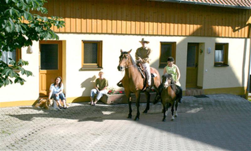 Ferienhaus Walther Erbach  Room photo